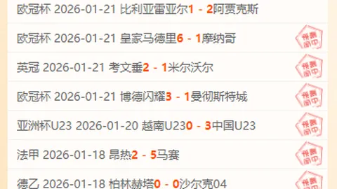 宝可梦泳池：成人版圣地再现分析