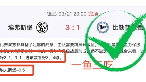 皇冠体育app下载