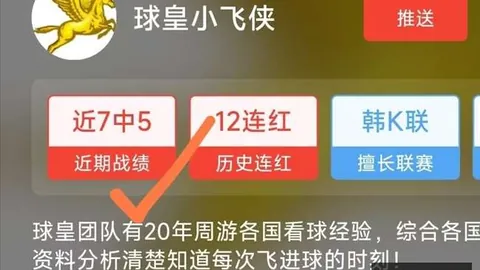 2026独家：狂热主场大，95分实力解析，能否天空